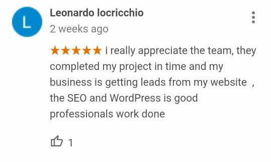Google Reviews msinterface.in